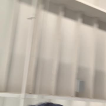 Stoppani SS8 challenge squats