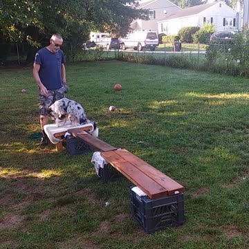 Ruff Cut PodCast: Raised Platform and Balance Beam part 4 Up Next cut 2