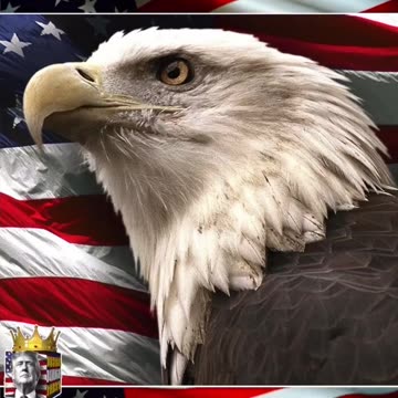 If evil people hate you, you might be doing something right.. | Elon (Ultra MAGA)