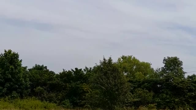 Chemtrailing - Well, well...a normal plane.What? No chemtrail?