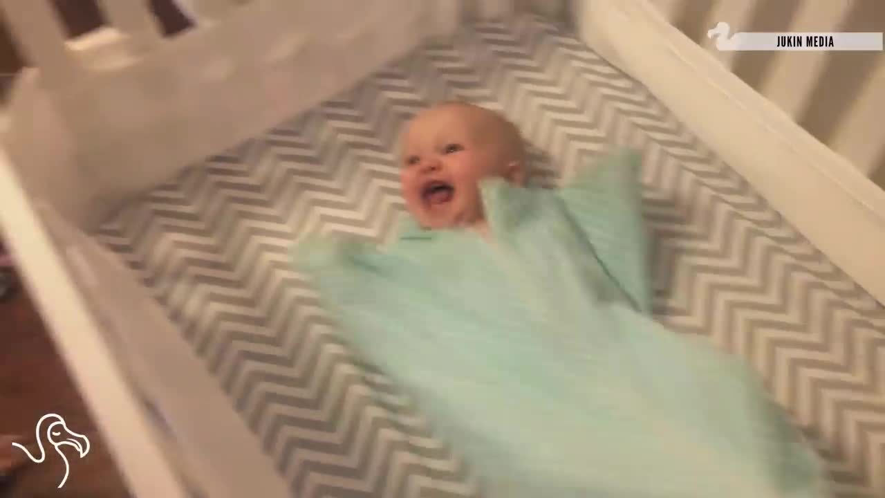 Baby luggage funny video