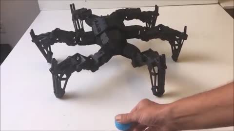 Hexapod design