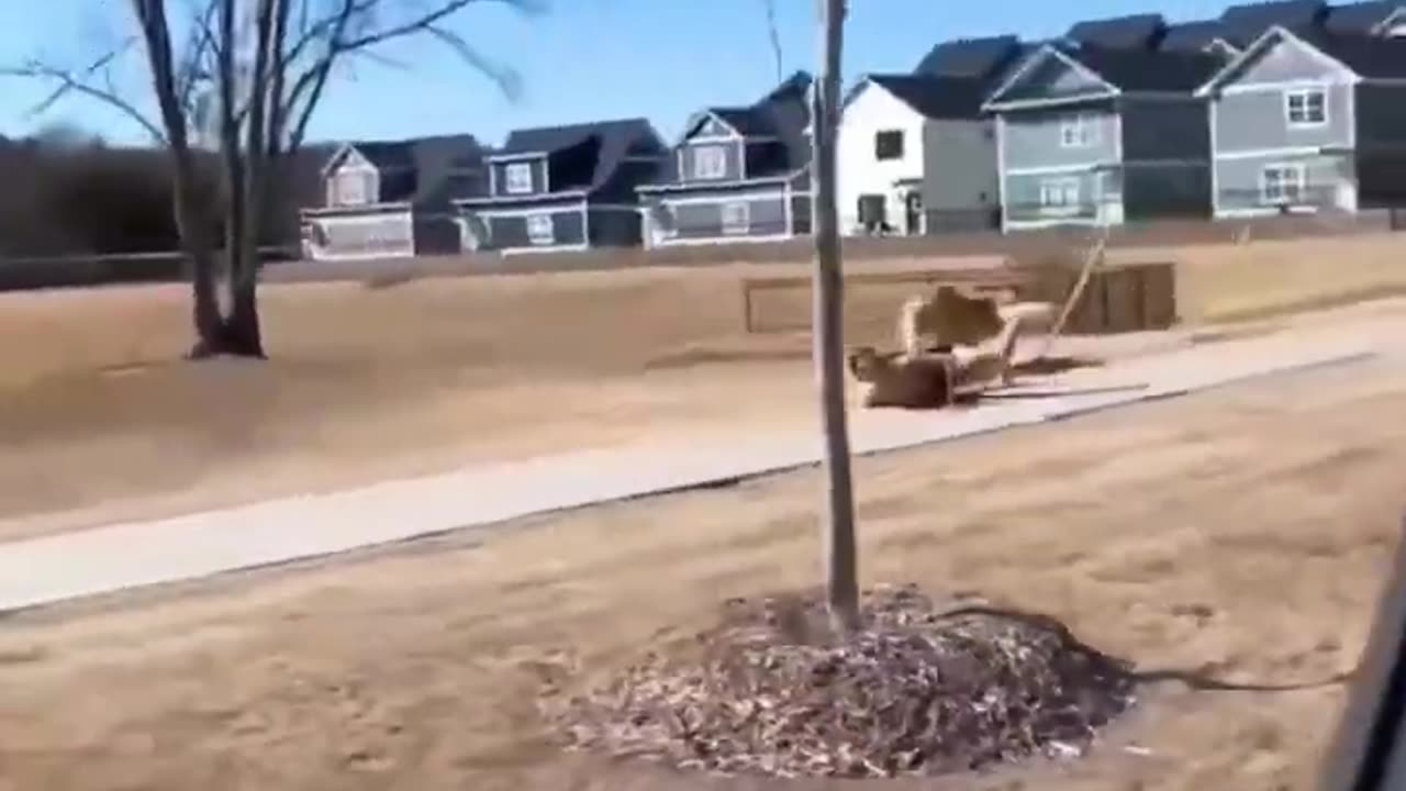 Funny Fails Compilation