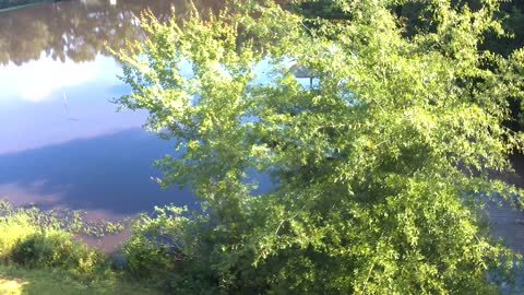 A Drone's Eye View of Lake Catherine