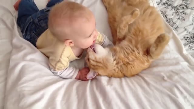 Cats Meeting Babies for the FIRST Time Compilation (must watch)