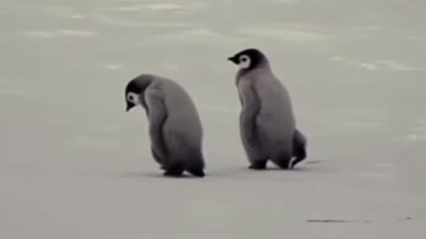 friendship