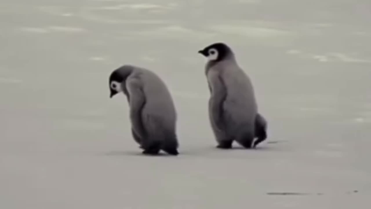 friendship
