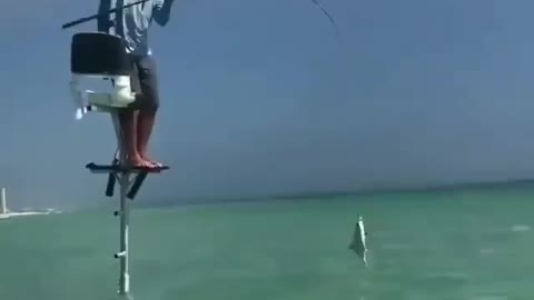 This is a beautiful and charming water-dwelling species