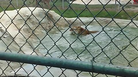 Just takin a bath before dinner time!!