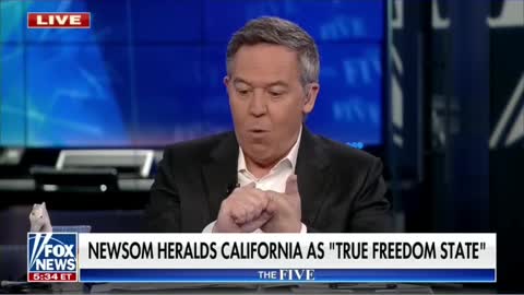 Gutfeld roasts California under Gavin Newsom’s watch #shorts #shortsvideo #shortsfeed