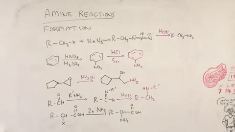 Amine formations