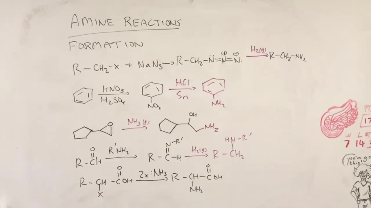 Amine formations