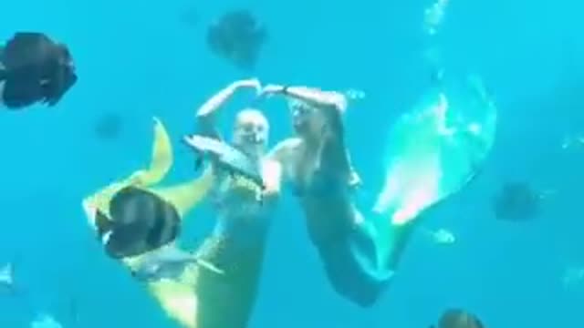 OMG Underwater Restaurant with Mermaids in real life