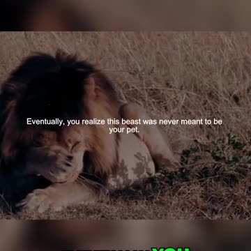 Killing Comfort: Embrace Discomfort to Unlock Your Best Life