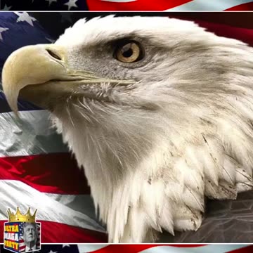 If lies were a crime you’d be in prison for life | Peter Navarro (Ultra MAGA)