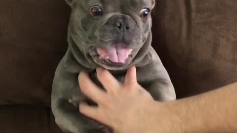 Stop The Tickles