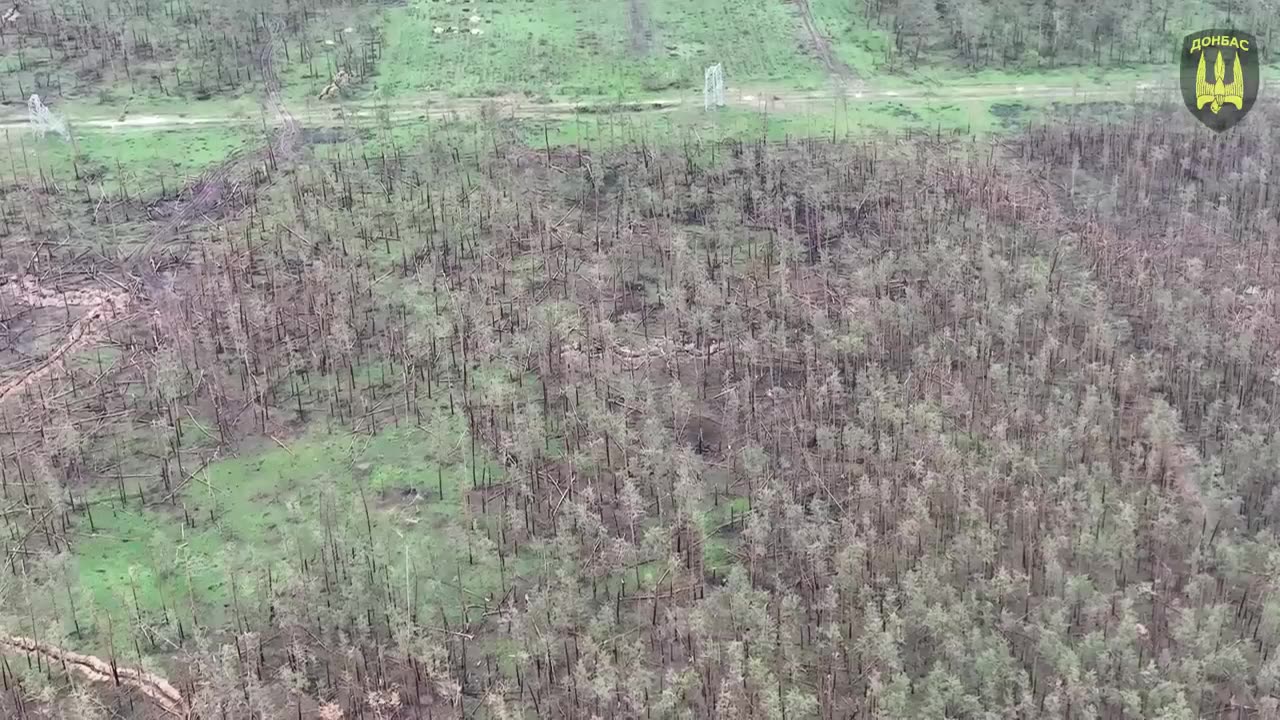 The work of our artillery of the special battalion of NGU "Donbass" in the forests of Kreminna
