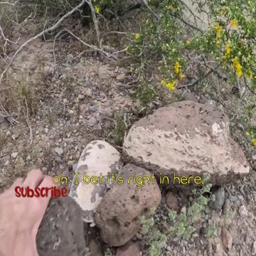 Help me get this Geocache. a TOTT may be required