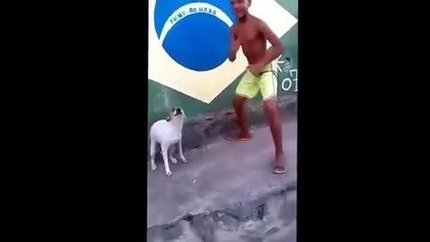 Dancing dog!