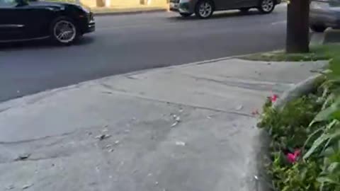 The situation determines the moral absolute (9-9-24)