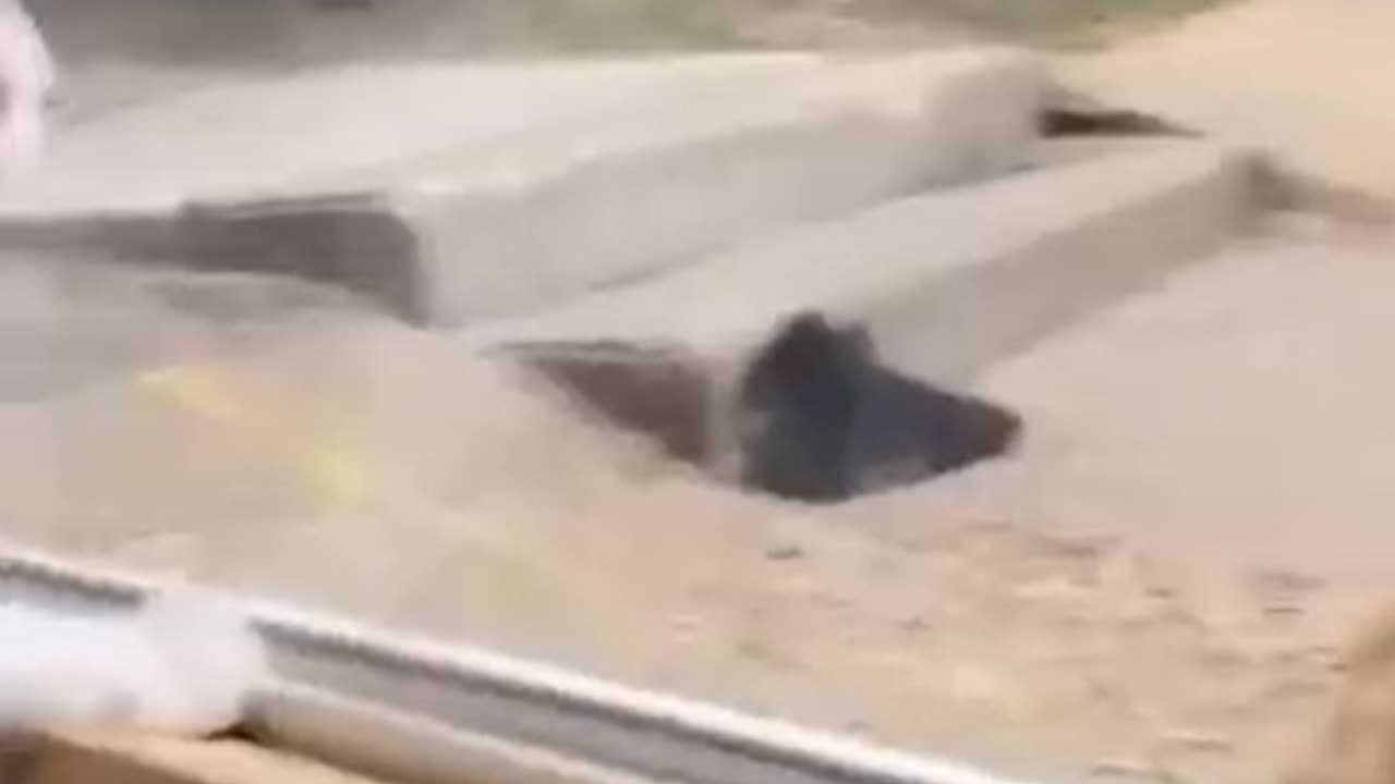 The video 🤣🤣🤣🤣