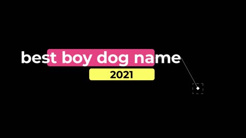DOG NEW NAME 2021