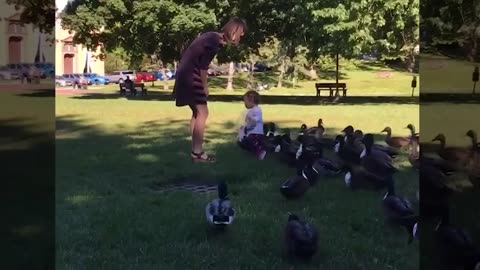 Funniest Baby Trouble Maker