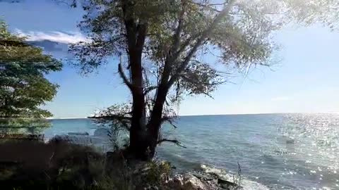 Moments of Tranquility by Ontario Lake