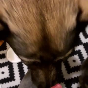 Mom came home from work and brought some sweets.