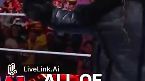 WWE Wrestling
