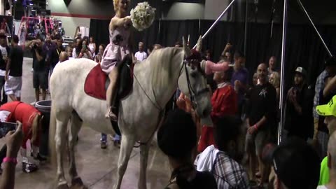 Exxxotica Expo Chicago 2016 Deleted Scenes