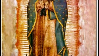 Fr Hewko, Our Lady of Guadalupe 12/12/24 [Audio] "He Hath Not Done Such to Every Nation" (Ps. 148)