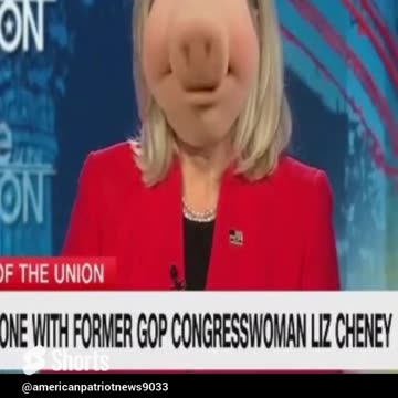 Miss Piggy running for president. 😂😂😂