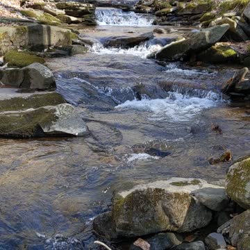 Idleman's Run 3/4/2022