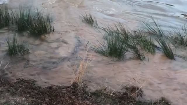 Off-Roading into a Pond