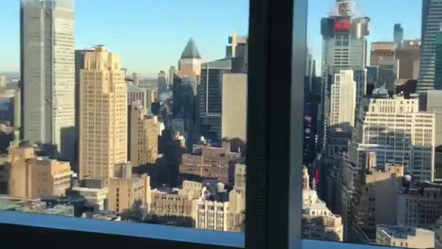 Small white dog on white couch looking at city view