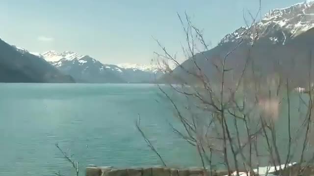 NATURE VIDEO , WATCH THIS VIDEO