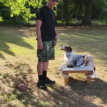 Structured Play Games Training and Practice d