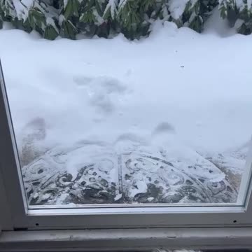 MUST WATCH !!!!!!!!!! CHEMTRAIL SNOW IN CANADA