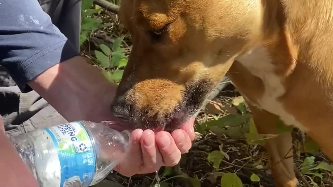 Gotta stay hydrated.