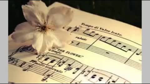 Sinister In A State Of Hope - Loney Dear - sottotitoli in italiano, subtìtulos en español- mastered