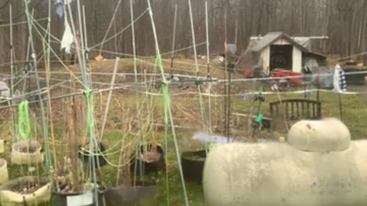 Thursday standards are racist & other progressive lies p 02 Derek Hunter Rumble