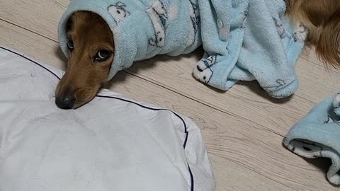 Are you in there again