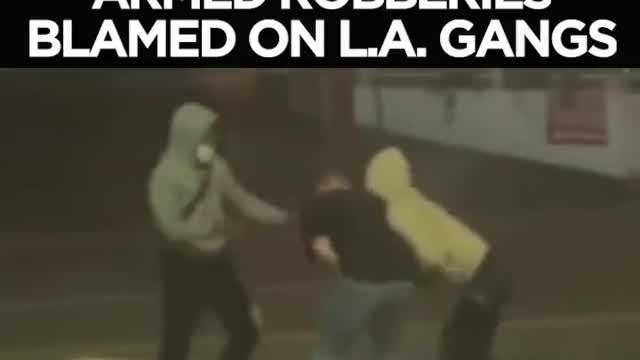 17 Gangs Pull Off More Than 200 'Follow-Home' Robberies of L.A.'s Wealthy
