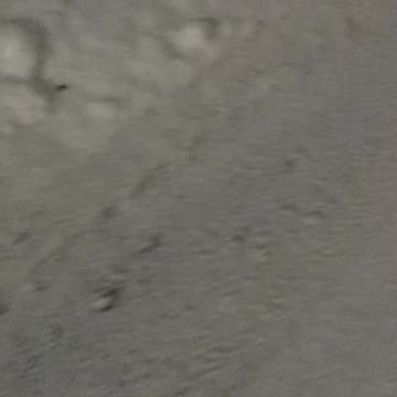 Winnipeg Snow [12-15-2024]