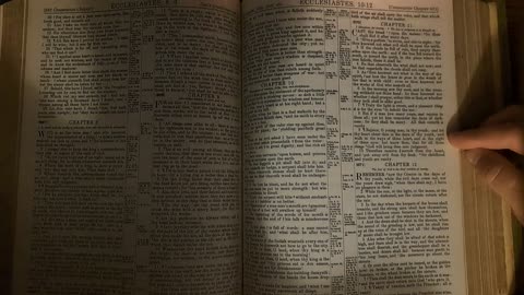 Ecclesiastes 11