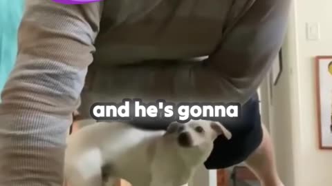 Funny workout in the Morning by my puppy