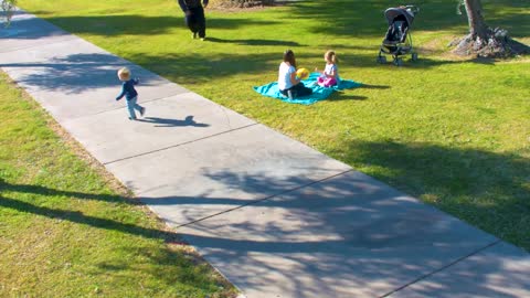 Dog saves child from being kidnapped in nearby park