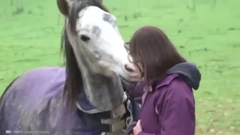 Animals being reunited with their owners