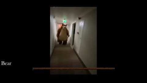 Bear chasing man down the hall MEME